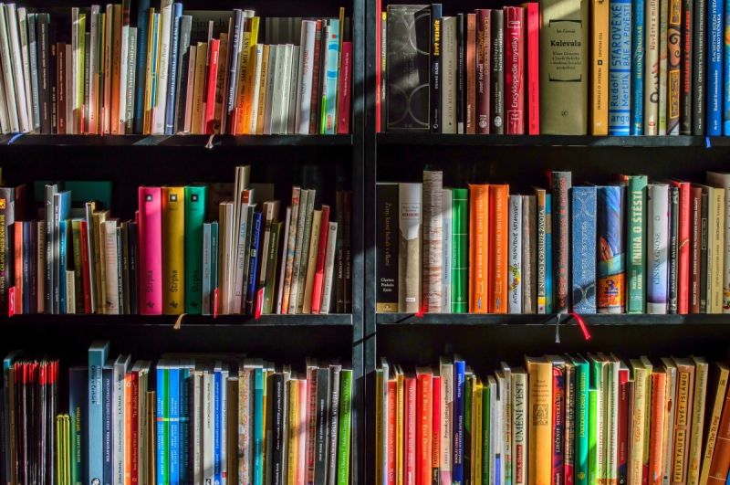 vitrine-GAREOULT-min_books_bookstore_book_reading_shop_writer_sale_books_read-822866