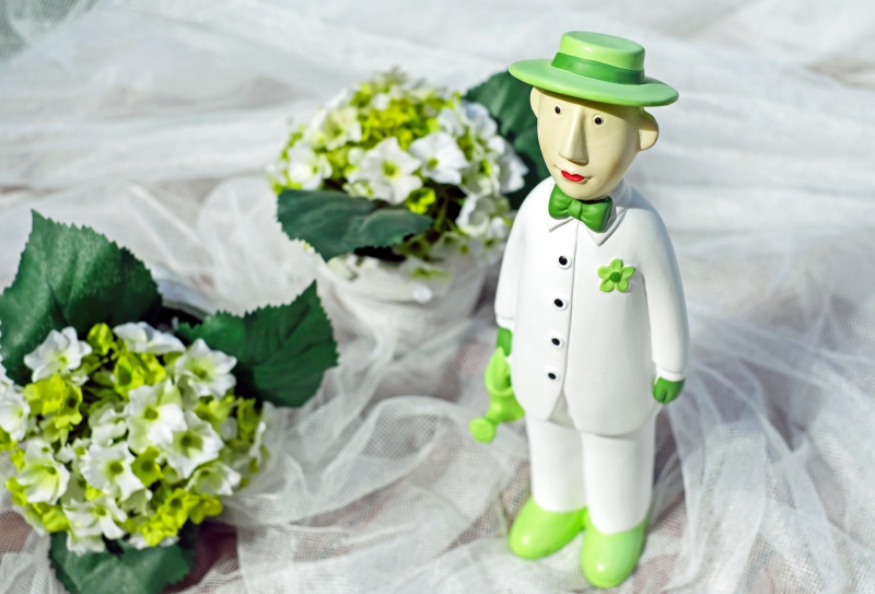 vitrine-GAREOULT-min_man-person-flower-green-toy-fig-546529-pxhere.com